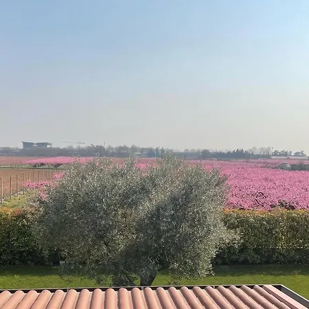 Corte Caselle Bed & Breakfast Sommacampagna