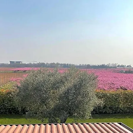 Corte Caselle Bed & Breakfast 4*