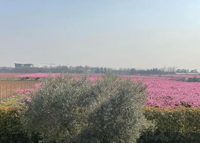 Corte Caselle Panzió Sommacampagna